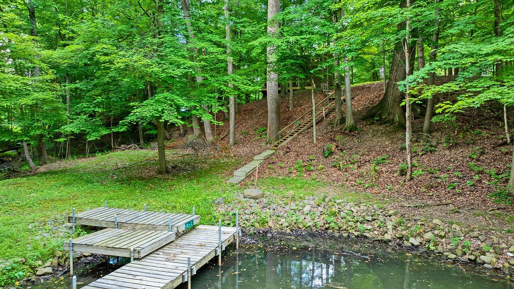 7326 State Route 19 Property Photo 75