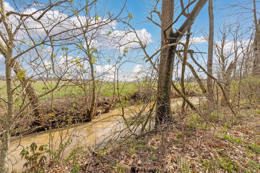 2554 Dry Lane Rd Property Photo 6
