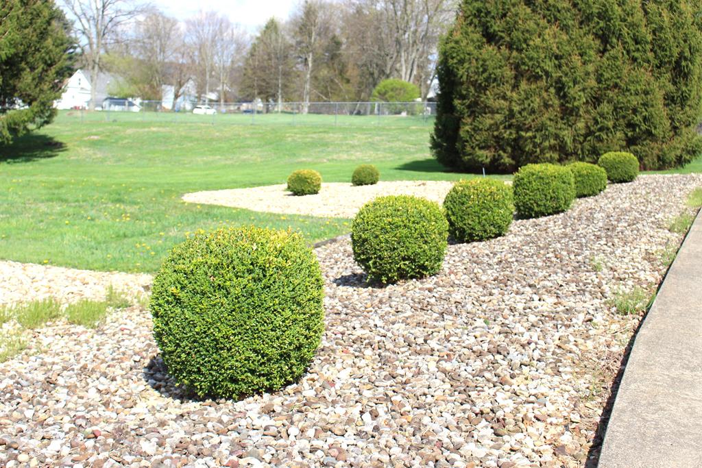 51 Maple Property Photo 6