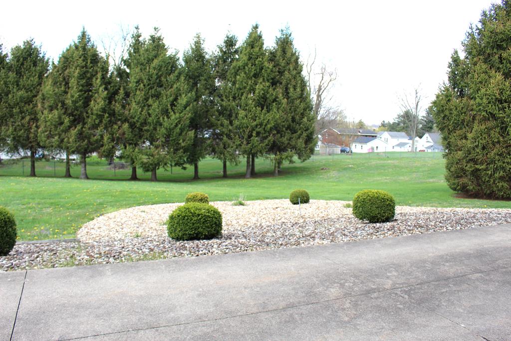 51 Maple Property Photo 7