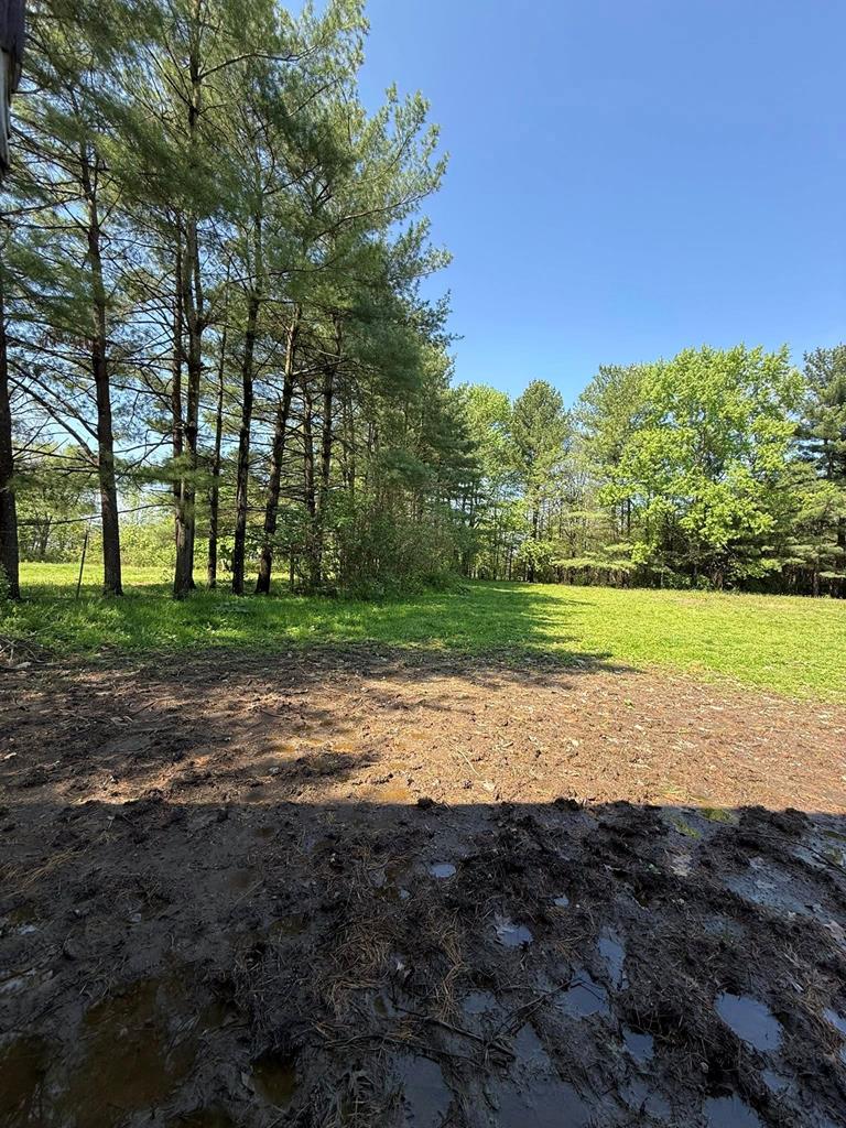 1260 County Line Road Property Photo 35
