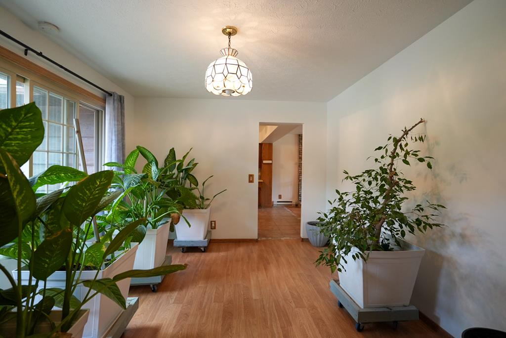 3491 Shad Property Photo 5