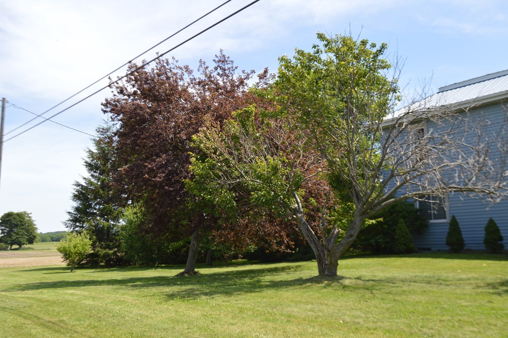 5067 N State Route 4 Property Photo 2