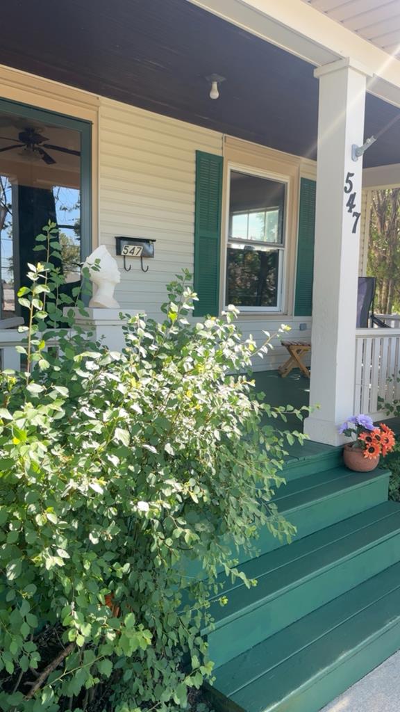 547 Maple Property Photo 2