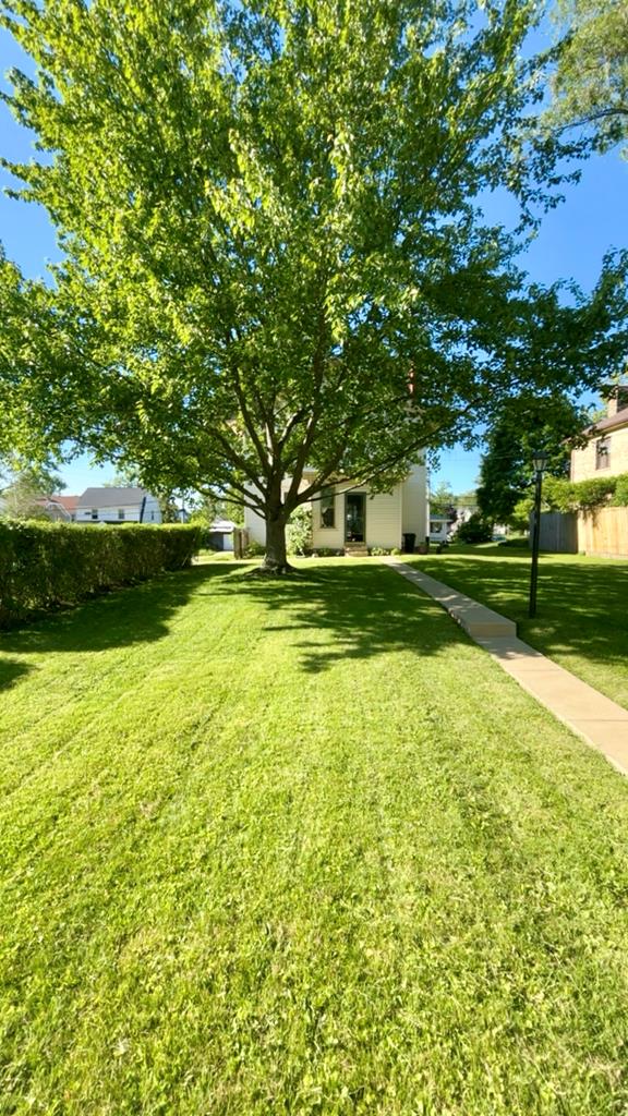 547 Maple Property Photo 31