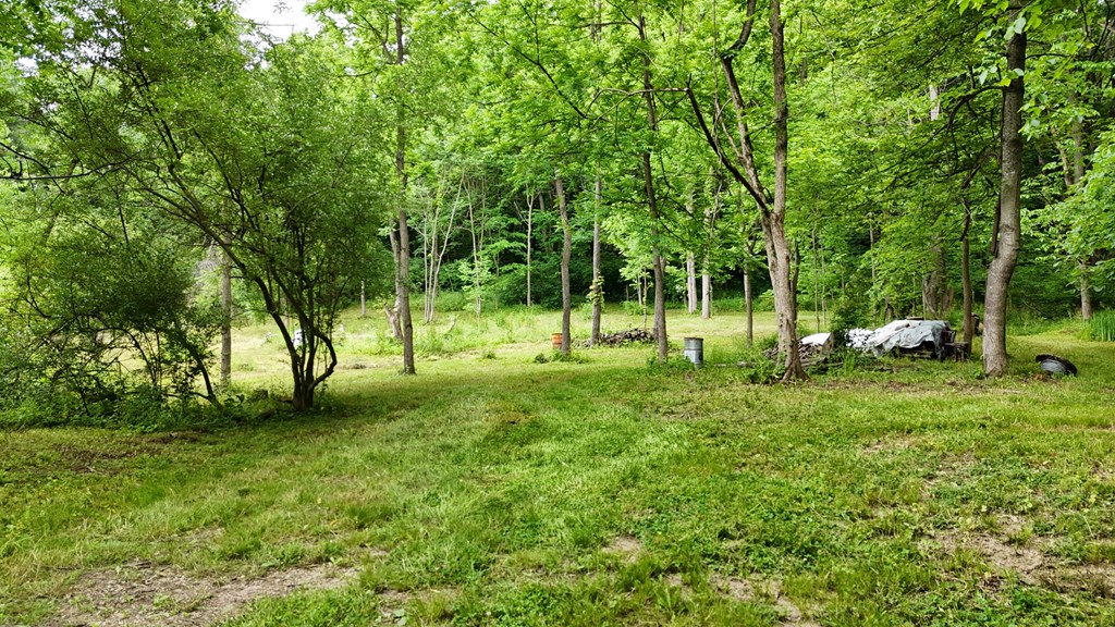 325 Hanley Road Property Photo 2