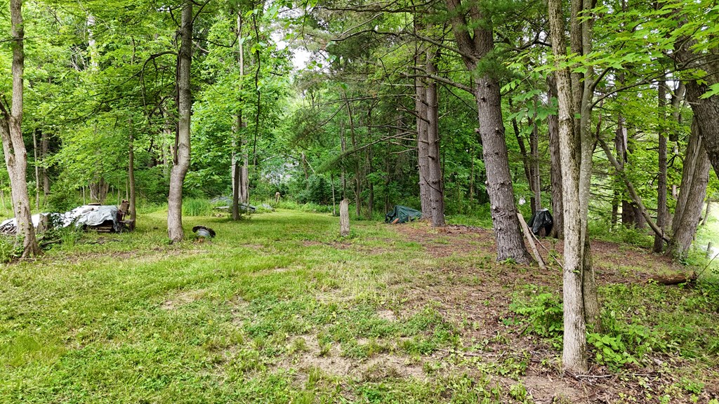 325 Hanley Road Property Photo 4