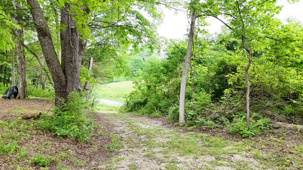 325 Hanley Road Property Photo 5