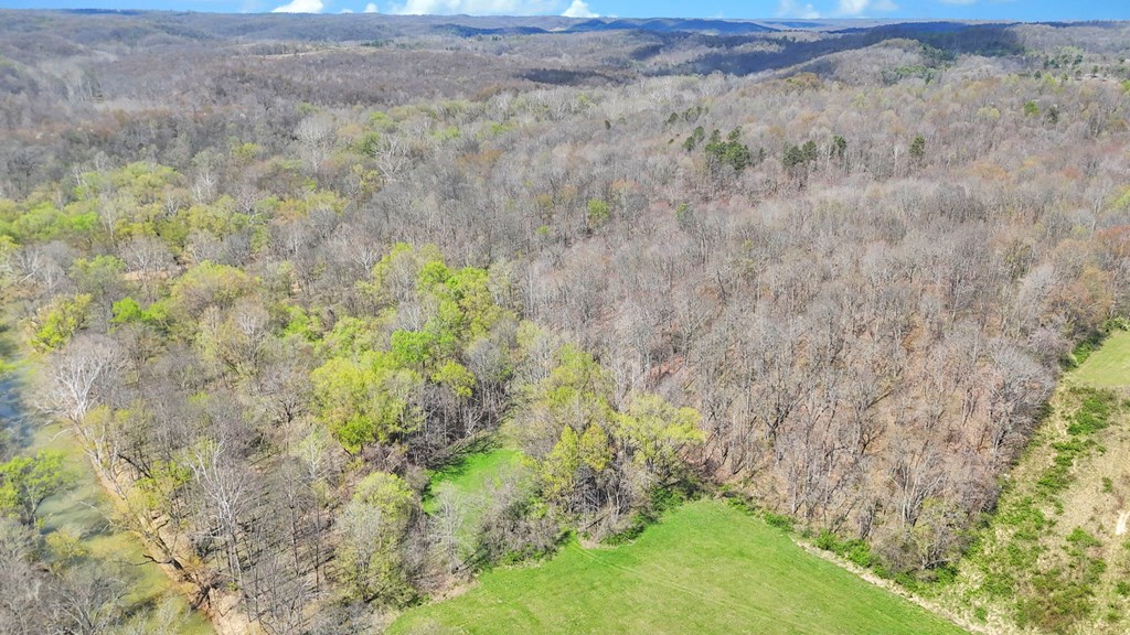 0 Covered Bridge Rd Property Photo 2