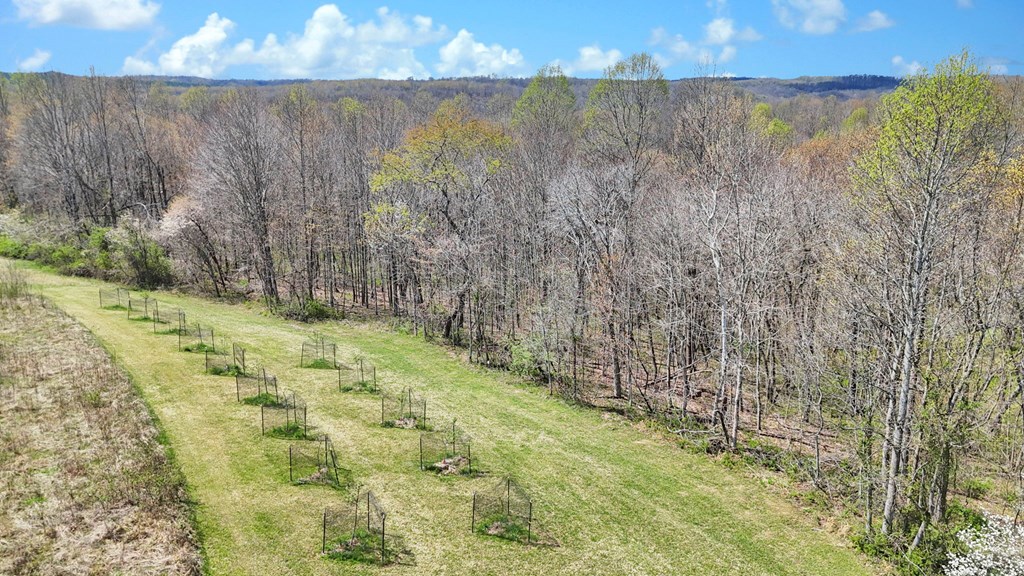 0 Covered Bridge Rd Property Photo 4