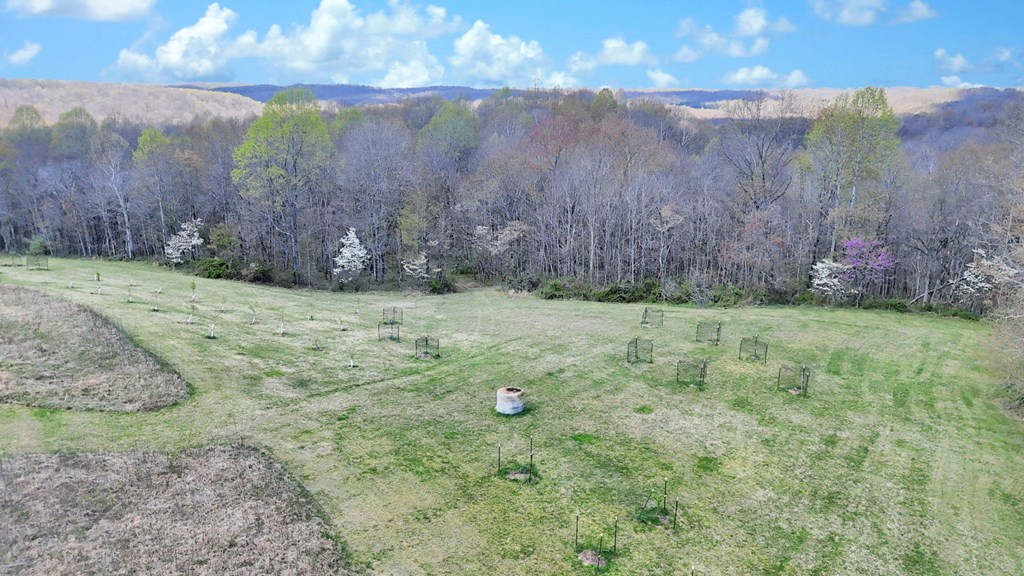 0 Covered Bridge Rd Property Photo 6