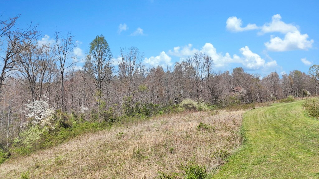 0 Covered Bridge Rd Property Photo 8