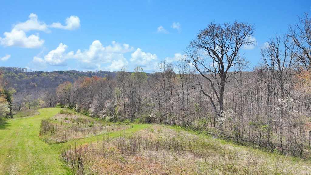 0 Covered Bridge Rd Property Photo 9