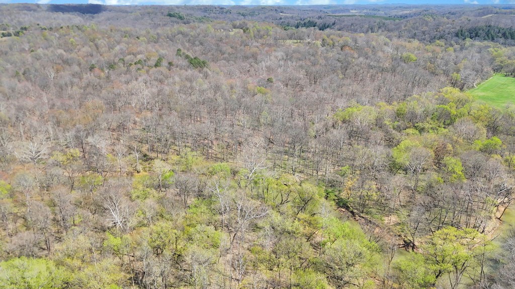 0 Covered Bridge Rd Property Photo 15