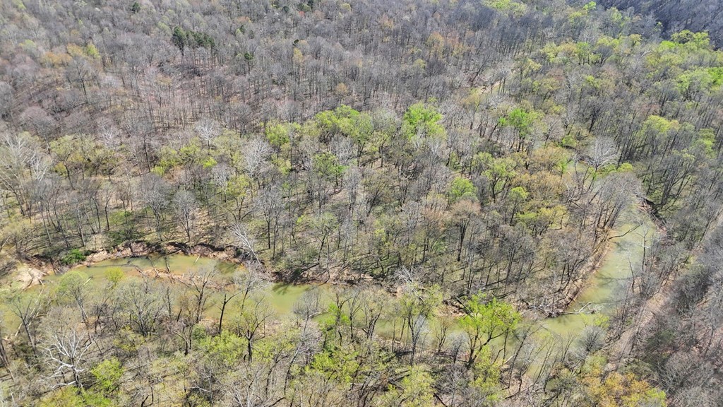 0 Covered Bridge Rd Property Photo 16