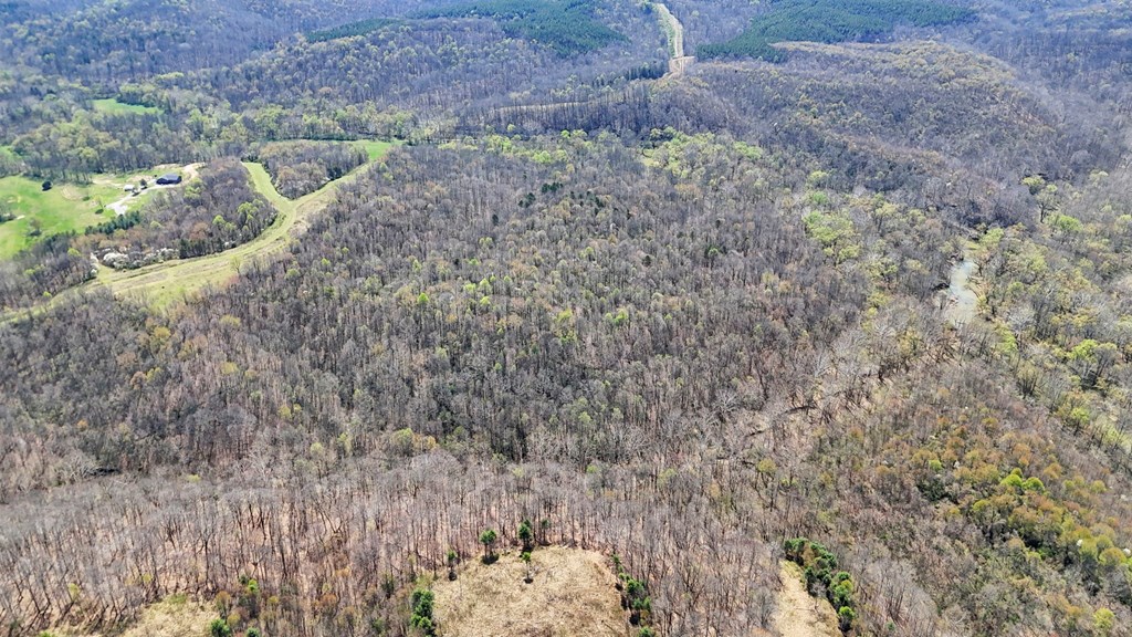0 Covered Bridge Rd Property Photo 18