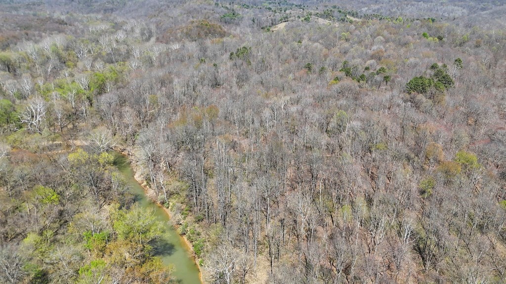 0 Covered Bridge Rd Property Photo 22