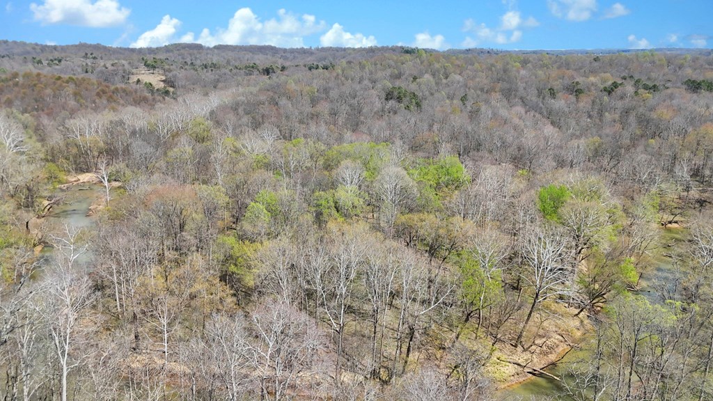 0 Covered Bridge Rd Property Photo 23