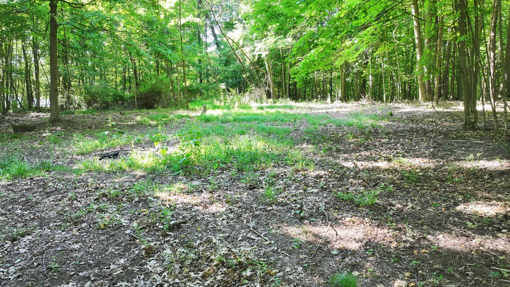 0 Mishey Rd Property Photo 3