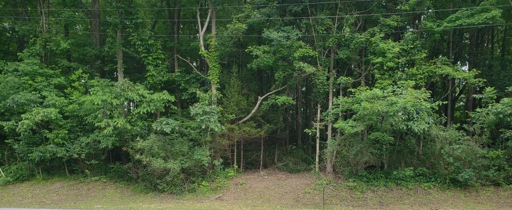 0 St Rt 42 (lexington Ave) Property Photo 1