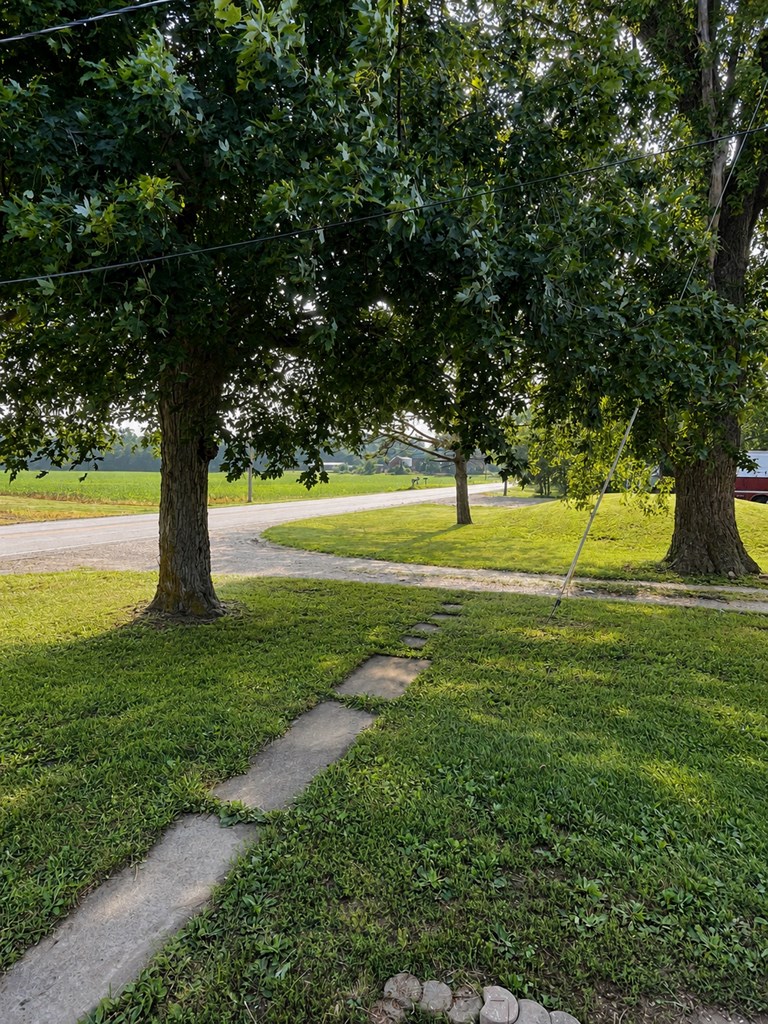 1448 State Route 294 Property Photo 18