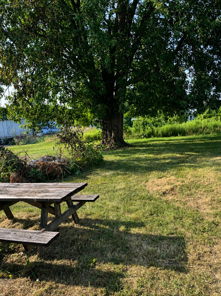 1448 State Route 294 Property Photo 20