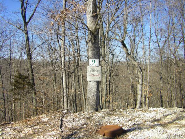9 Old Logging Road 9 Property Photo 3