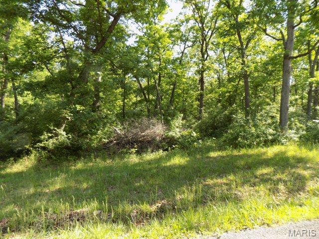 247 Foxboro Road Property Photo 4