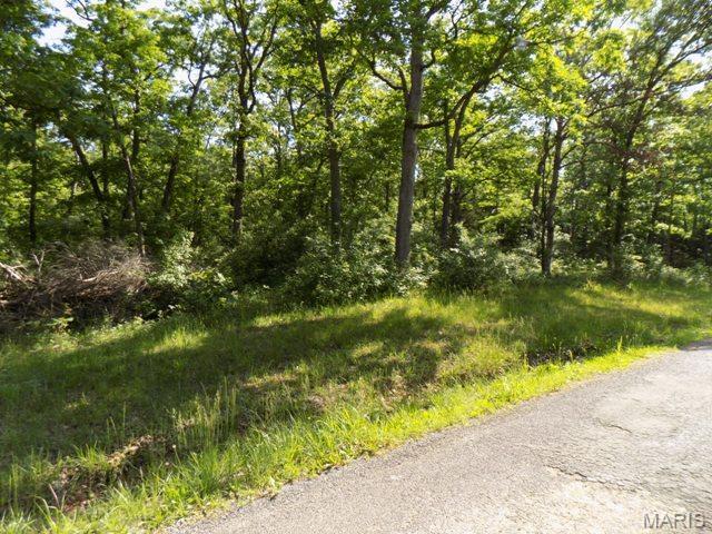 247 Foxboro Road Property Photo 5