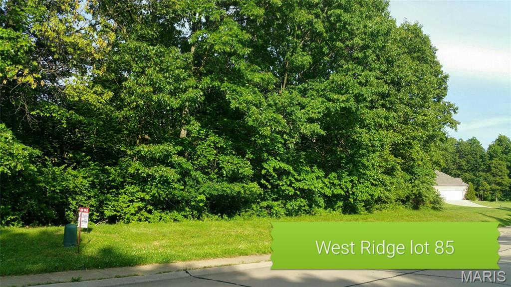 875 GRAFTON HILLS Drive Property Photo 1