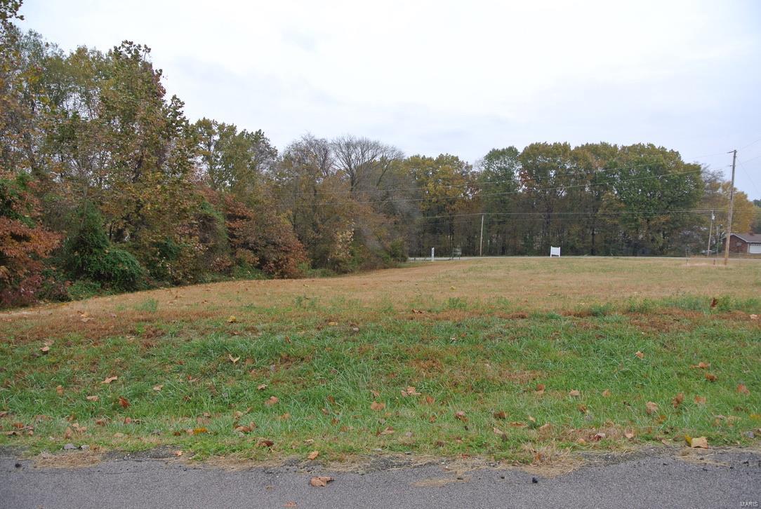0 Lot 19 Circle Drive Property Photo 1