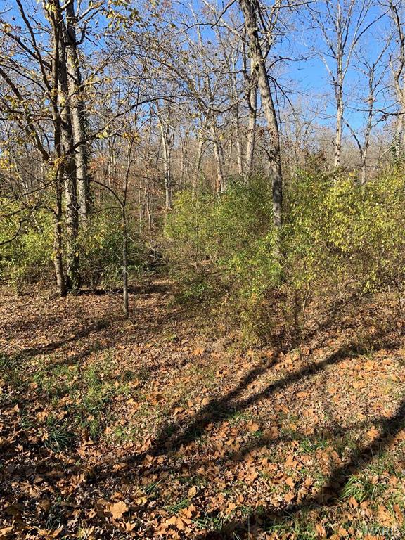 255 Foxboro Road Property Photo 5