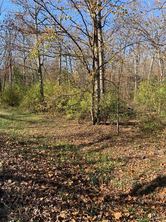 255 Foxboro Road Property Photo 6
