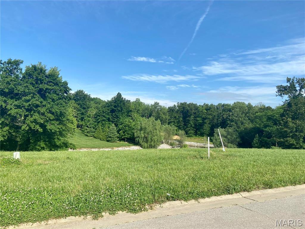 607 Wedgewood Lane Property Photo 1