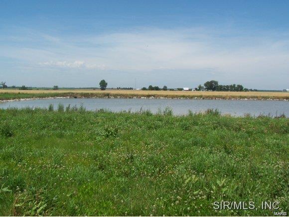 639 Hailie Street Property Photo 1