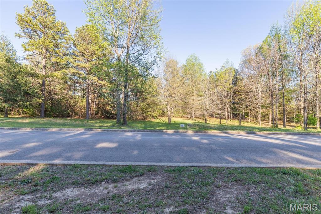 0 Lot # 24 Westwood Highlands Property Photo 5