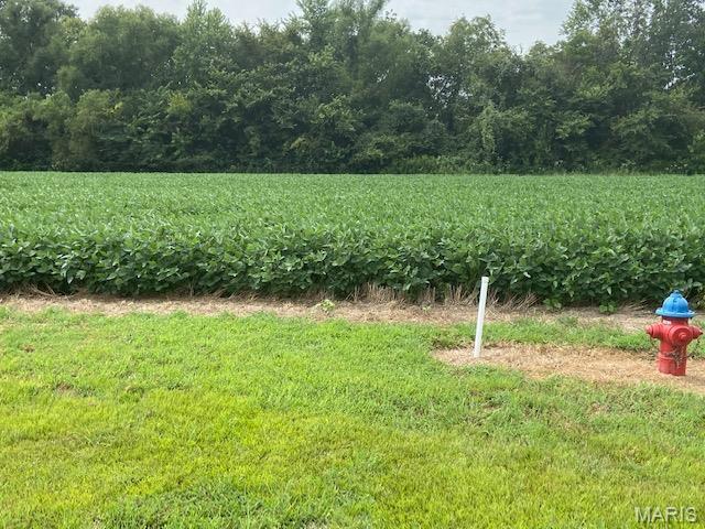 0 Timber Creek Rd. Property Photo 2