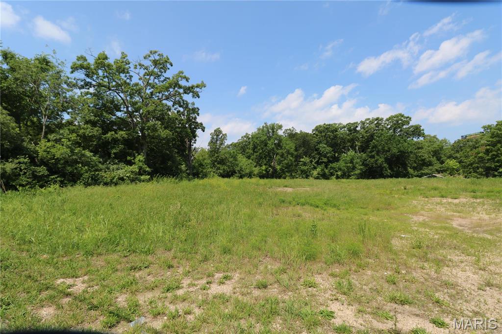 1019 E Springfield Road Property Photo 6