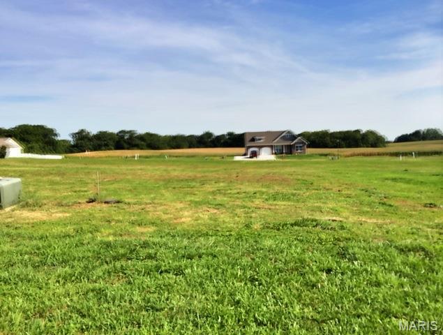 505 Bluff Meadows Drive Property Photo 1