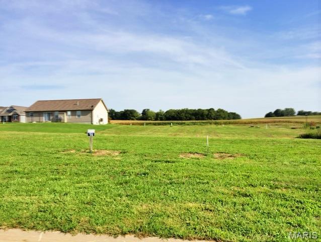 517 Bluff Meadows Drive Property Photo 1
