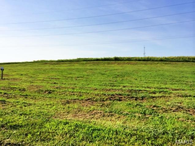 428 Bluff Meadows Drive Property Photo 1