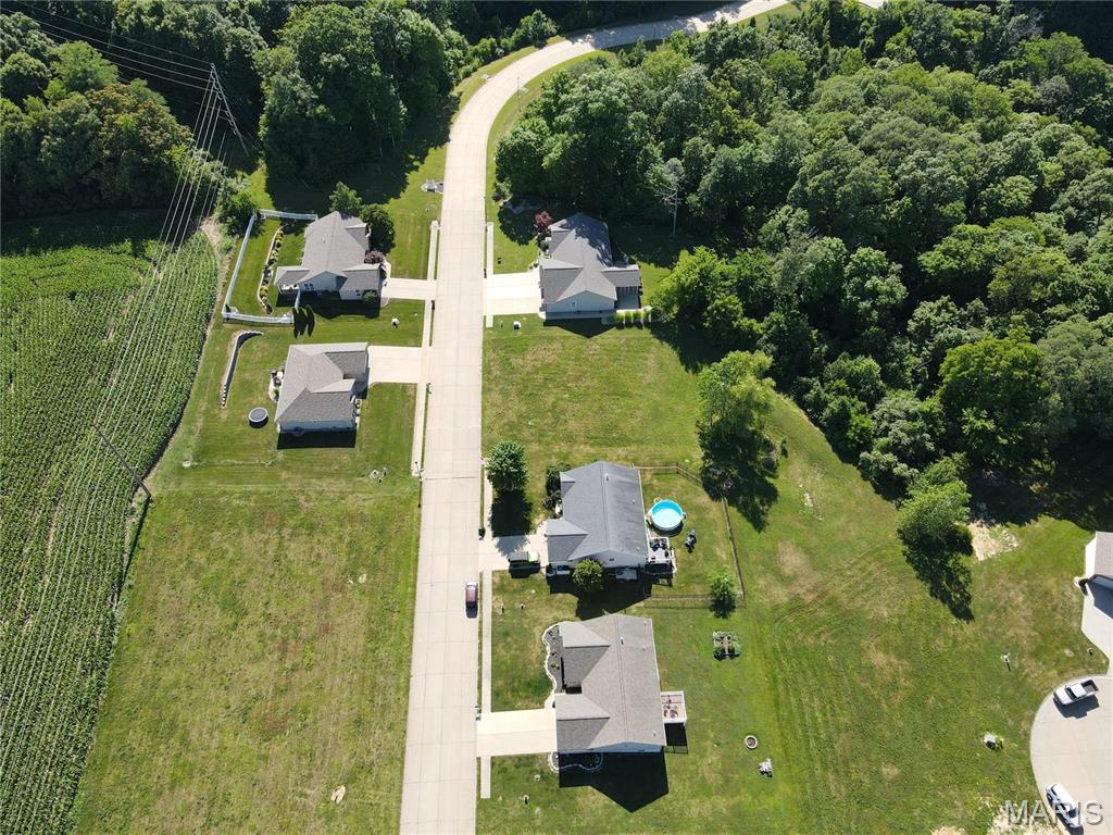 428 Bluff Meadows Drive Property Photo 6