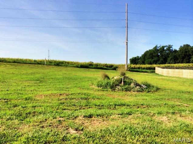424 Bluff Meadows Drive Property Photo 1
