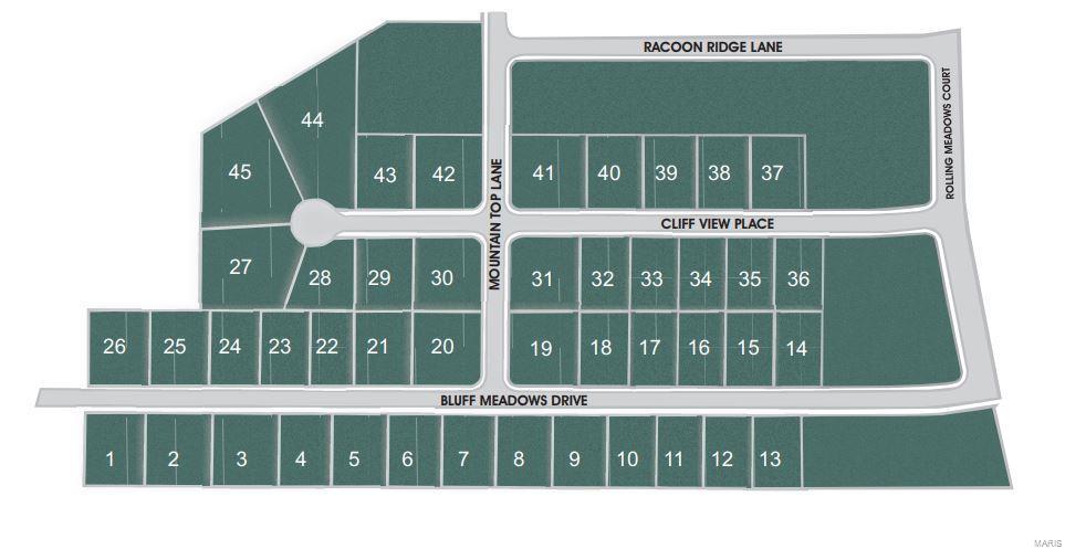 0 Xxx Bluff Meadows Drive Property Photo 1