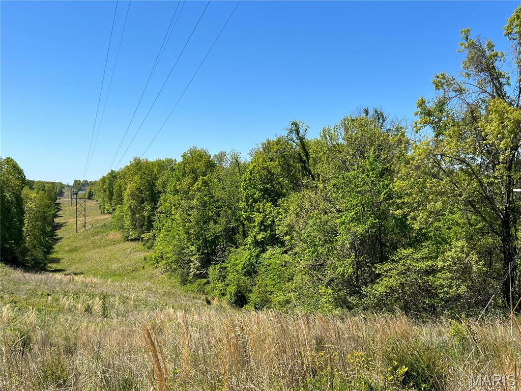 0 Hwy Z Property Photo 4