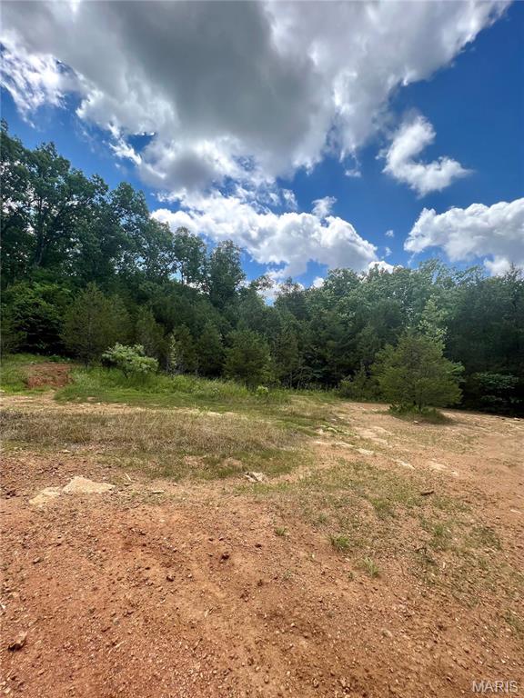 9100 Hill Drive Property Photo 3