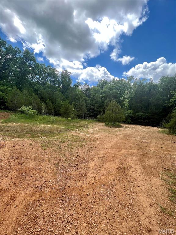 9100 Hill Drive Property Photo 6