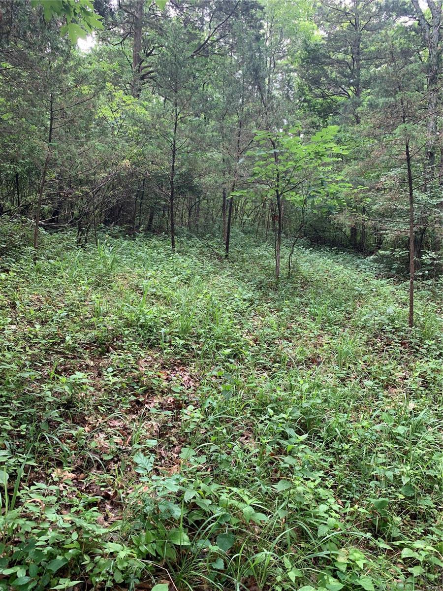 0 Lot 62.01 Acres Property Photo 3