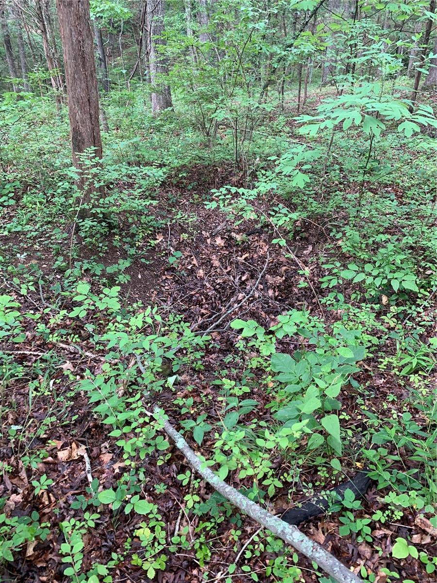 0 Lot 62.01 Acres Property Photo 4