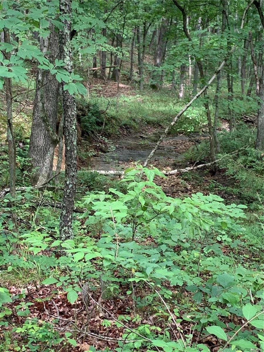 0 Lot 62.01 Acres Property Photo 7